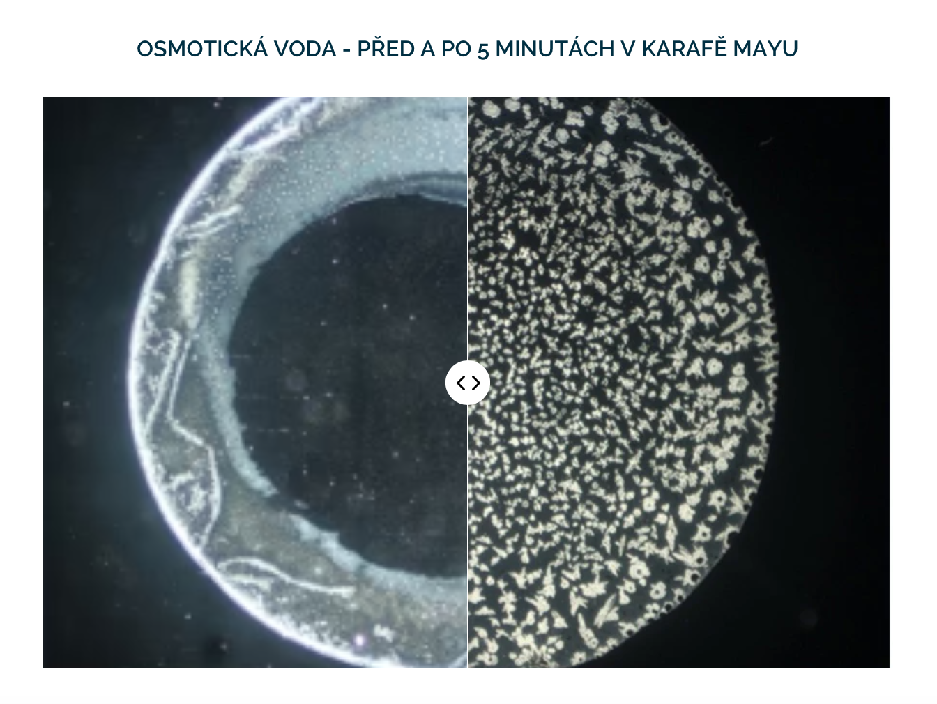 Snímek obrazovky 2024-06-18 v 21.55.03_1